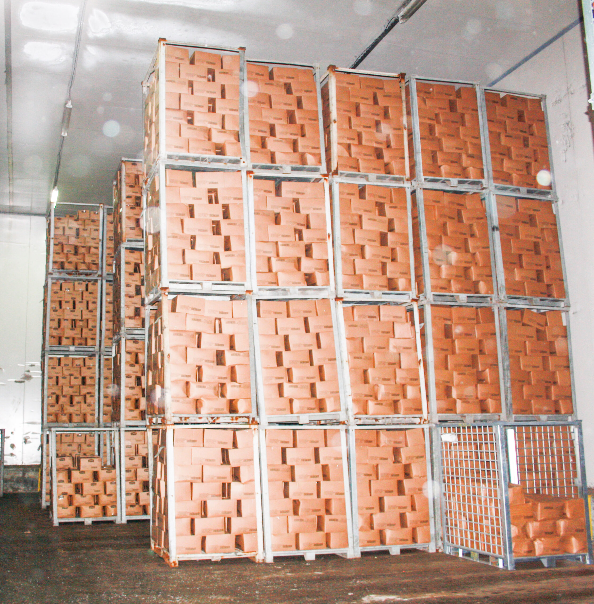 Stockage de produits SOCOFROID